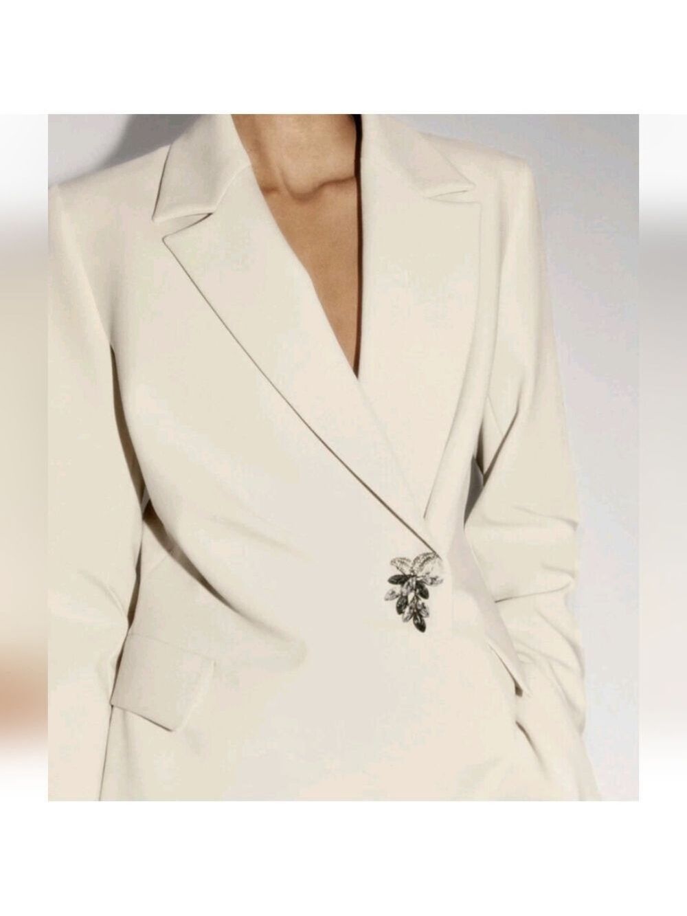 NWT Zara Rhinestone Button Blazer, Beige, Size L - Picture 6 of 17